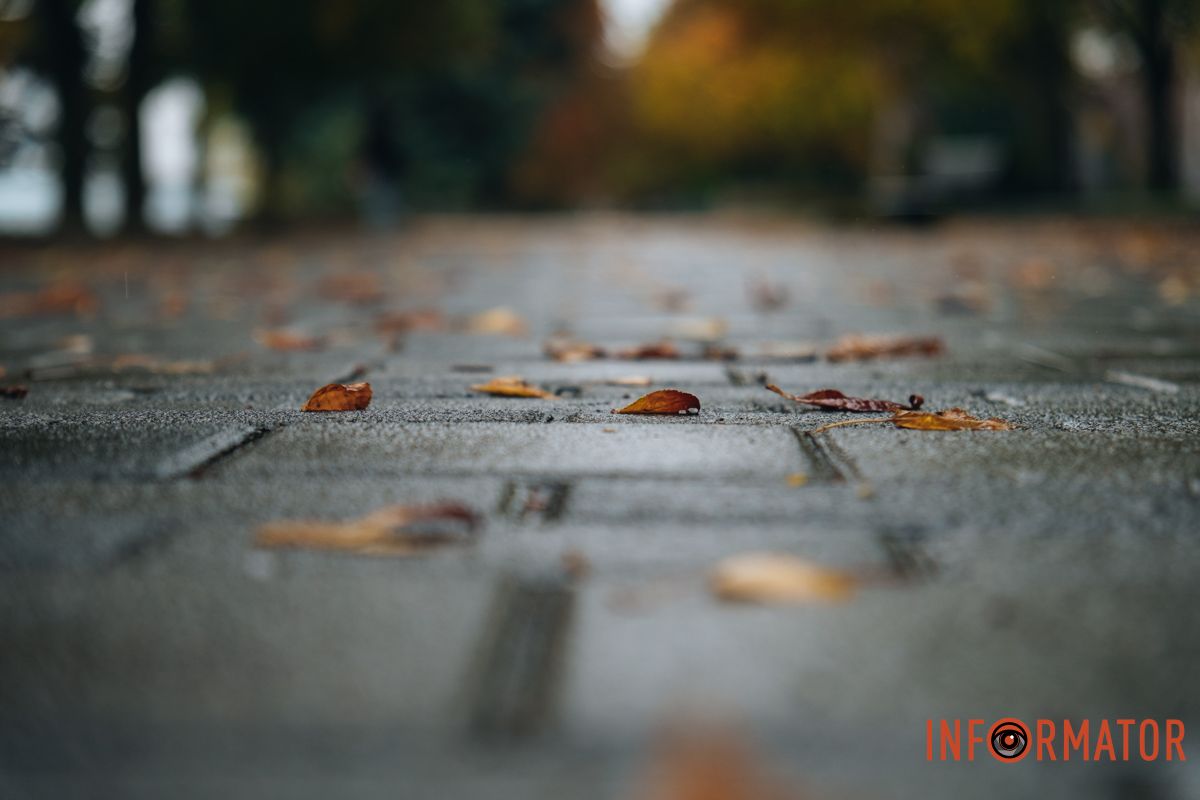 Мокрый асфальт подсвечивает яркие листья