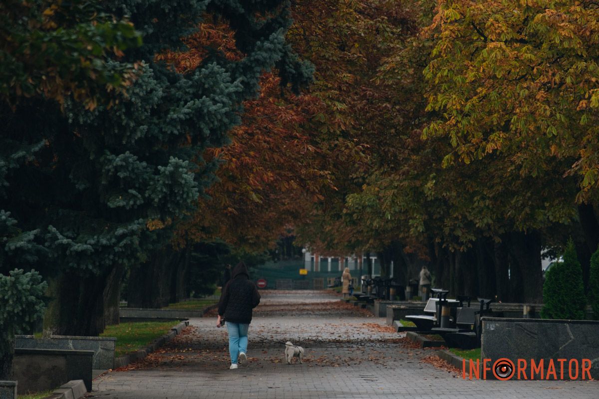 Песиков тоже дождь не пугает