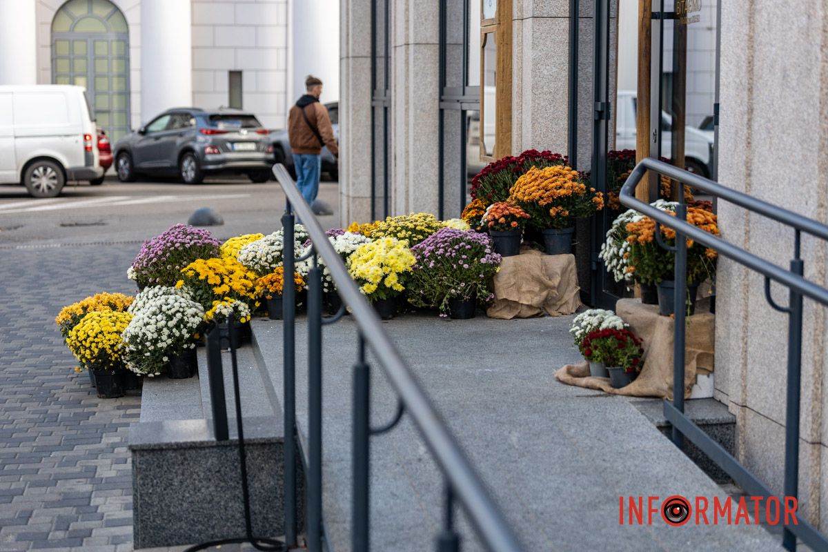 Хризантемні фотозони Дніпра: де зробити найкрасивіші осінні фото 22