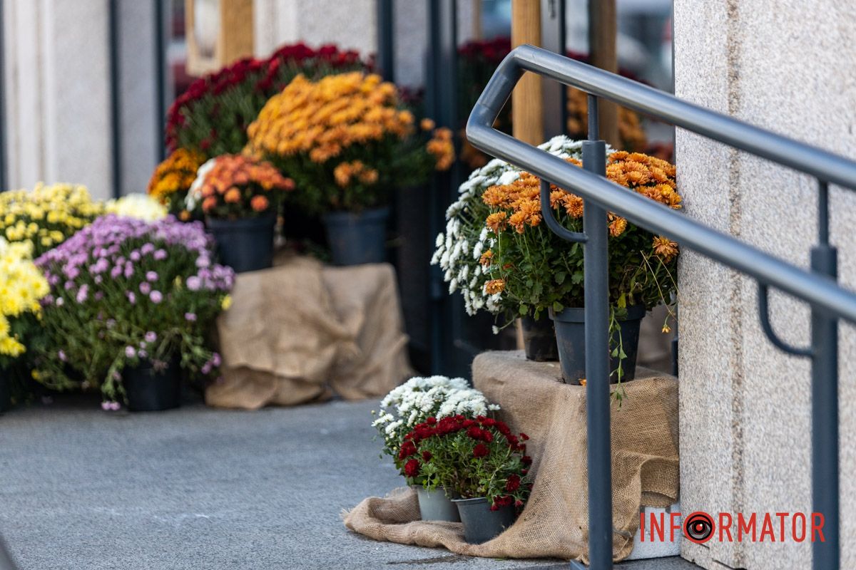 Хризантемні фотозони Дніпра: де зробити найкрасивіші осінні фото 20