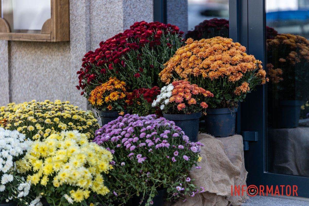Хризантемні фотозони Дніпра: де зробити найкрасивіші осінні фото 23