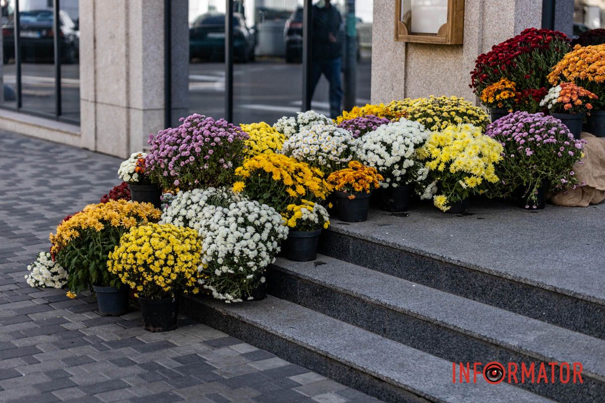 Хризантемні фотозони Дніпра: де зробити найкрасивіші осінні фото 24