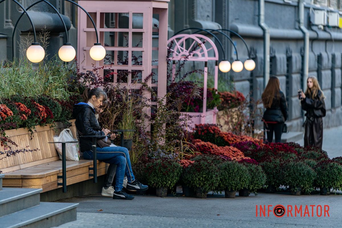 Хризантемні фотозони Дніпра: де зробити найкрасивіші осінні фото 1