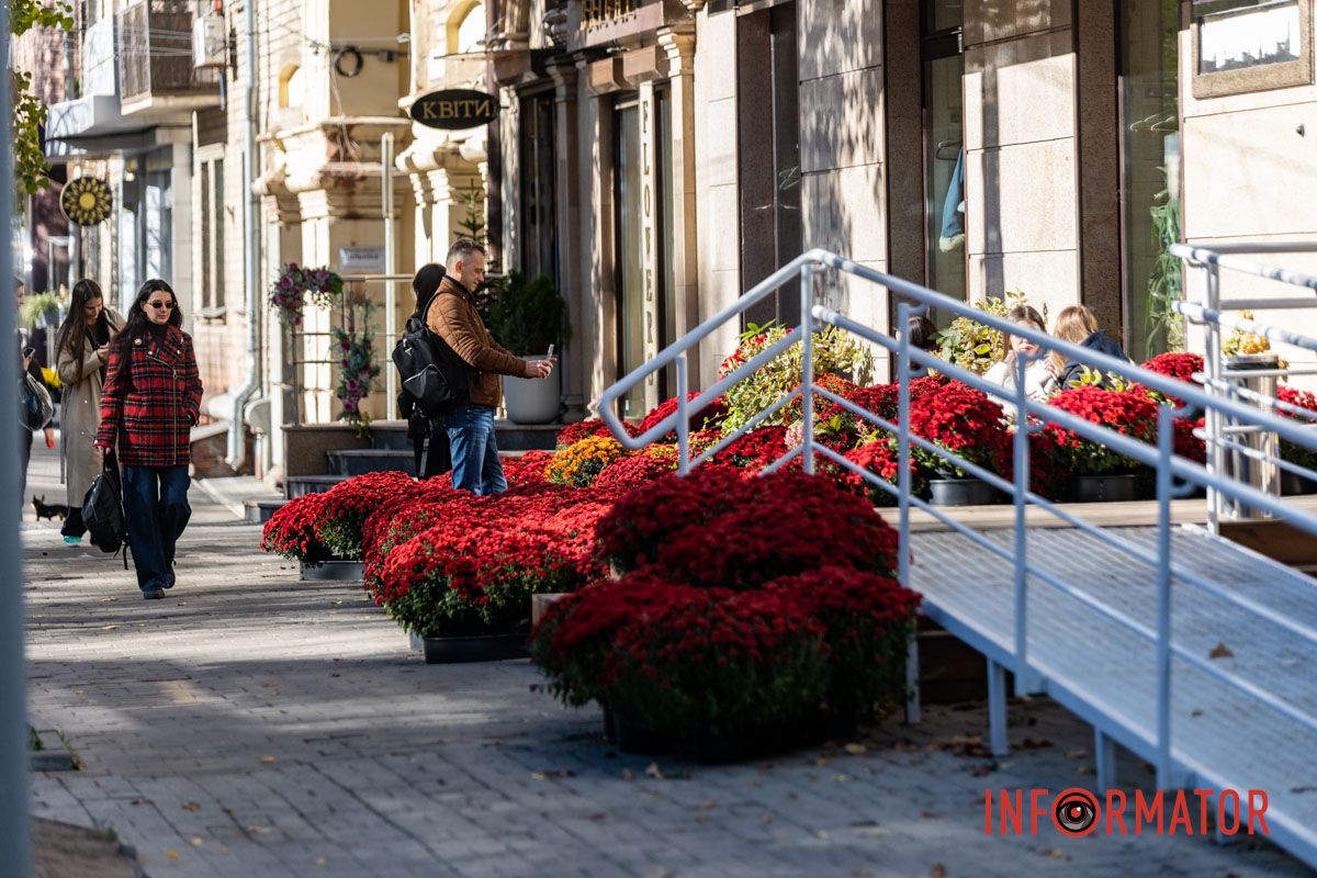 Хризантемні фотозони Дніпра: де зробити найкрасивіші осінні фото 10