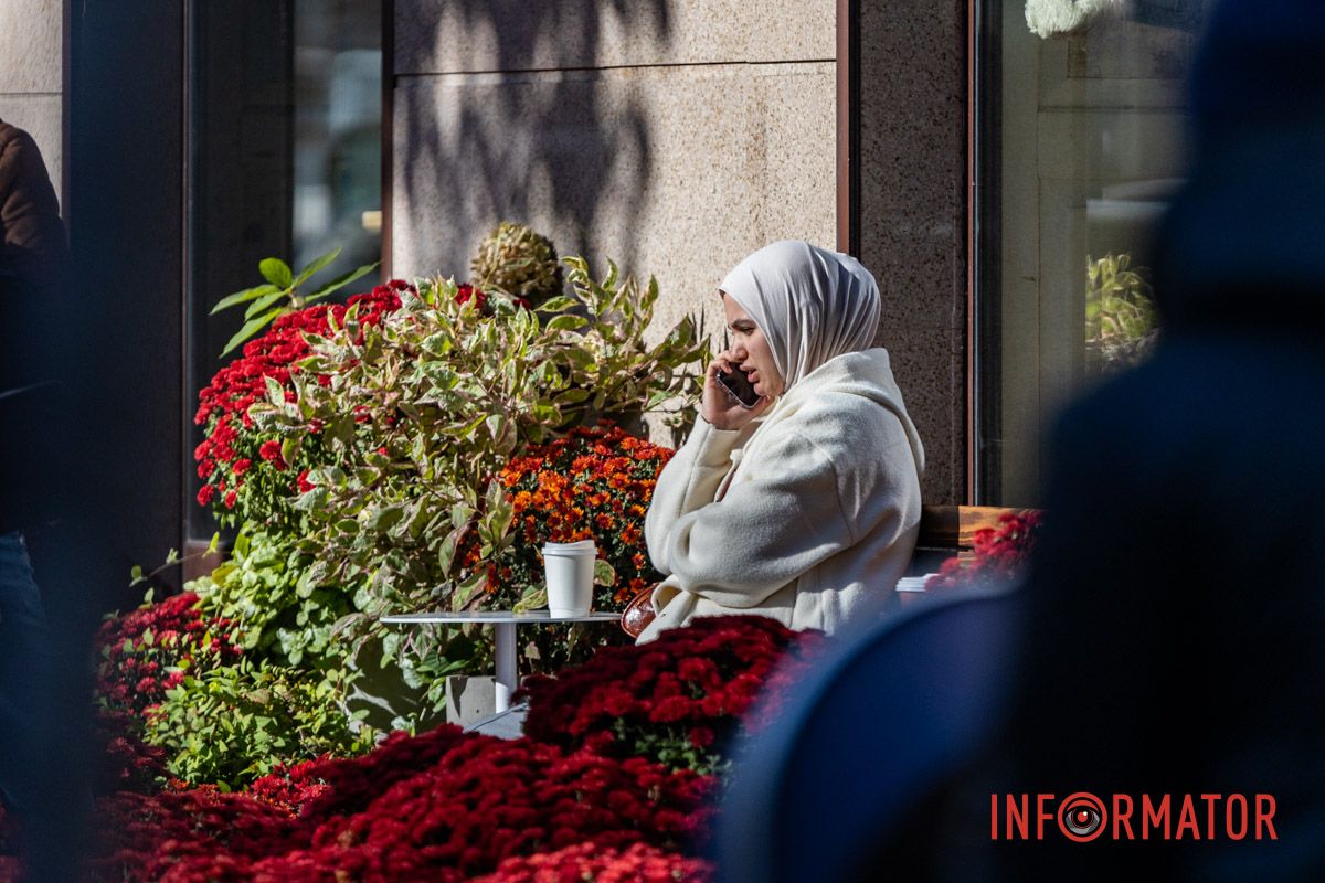 Хризантемні фотозони Дніпра: де зробити найкрасивіші осінні фото 12