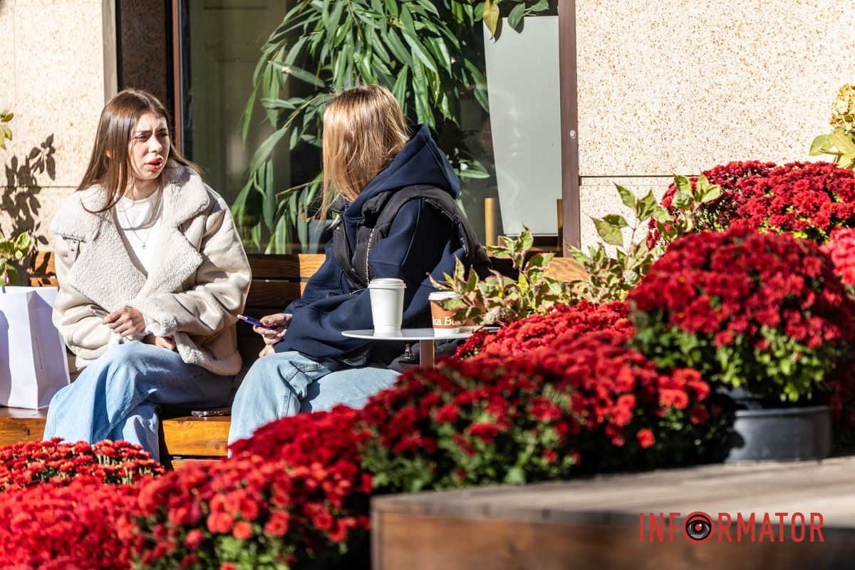 Хризантемні фотозони Дніпра: де зробити найкрасивіші осінні фото 13