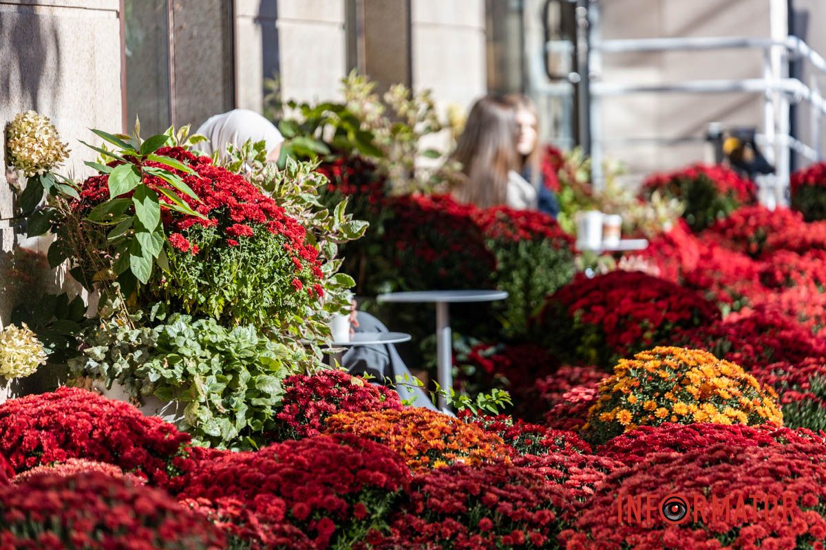 Хризантемні фотозони Дніпра: де зробити найкрасивіші осінні фото 17