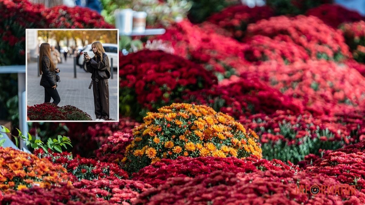 Хризантемні фотозони Дніпра: де зробити найкрасивіші осінні фото