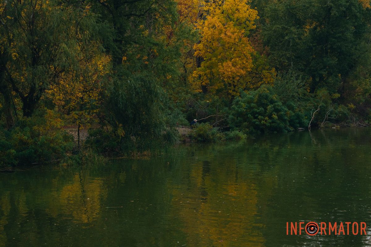 Дерева набувають особливої насиченості кольорів Як виглядає Дніпро у жовтні після дощу 9
