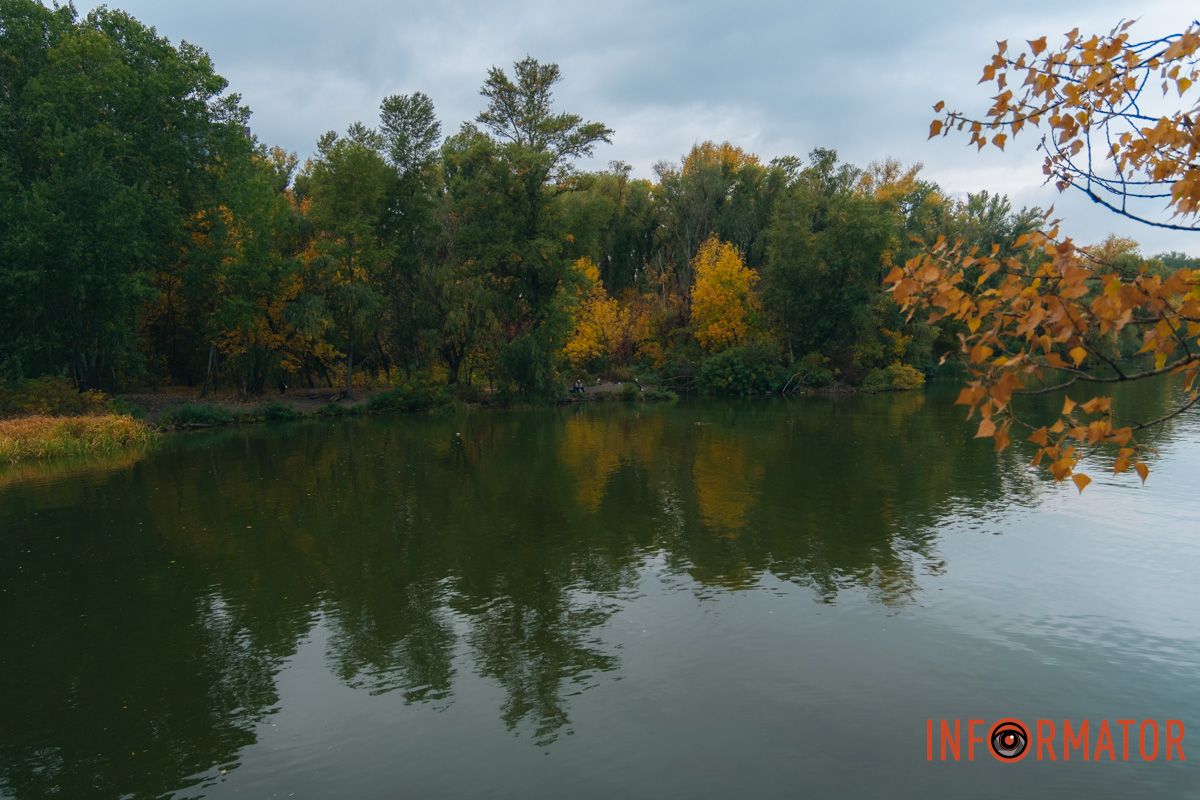 Осінь фарбує дерева у неймовірні кольори Осінь фарбує дерева у неймовірні кольори