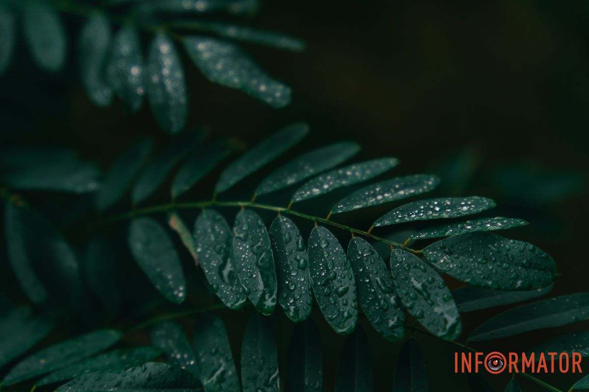 Красиві деталі Красиві деталі