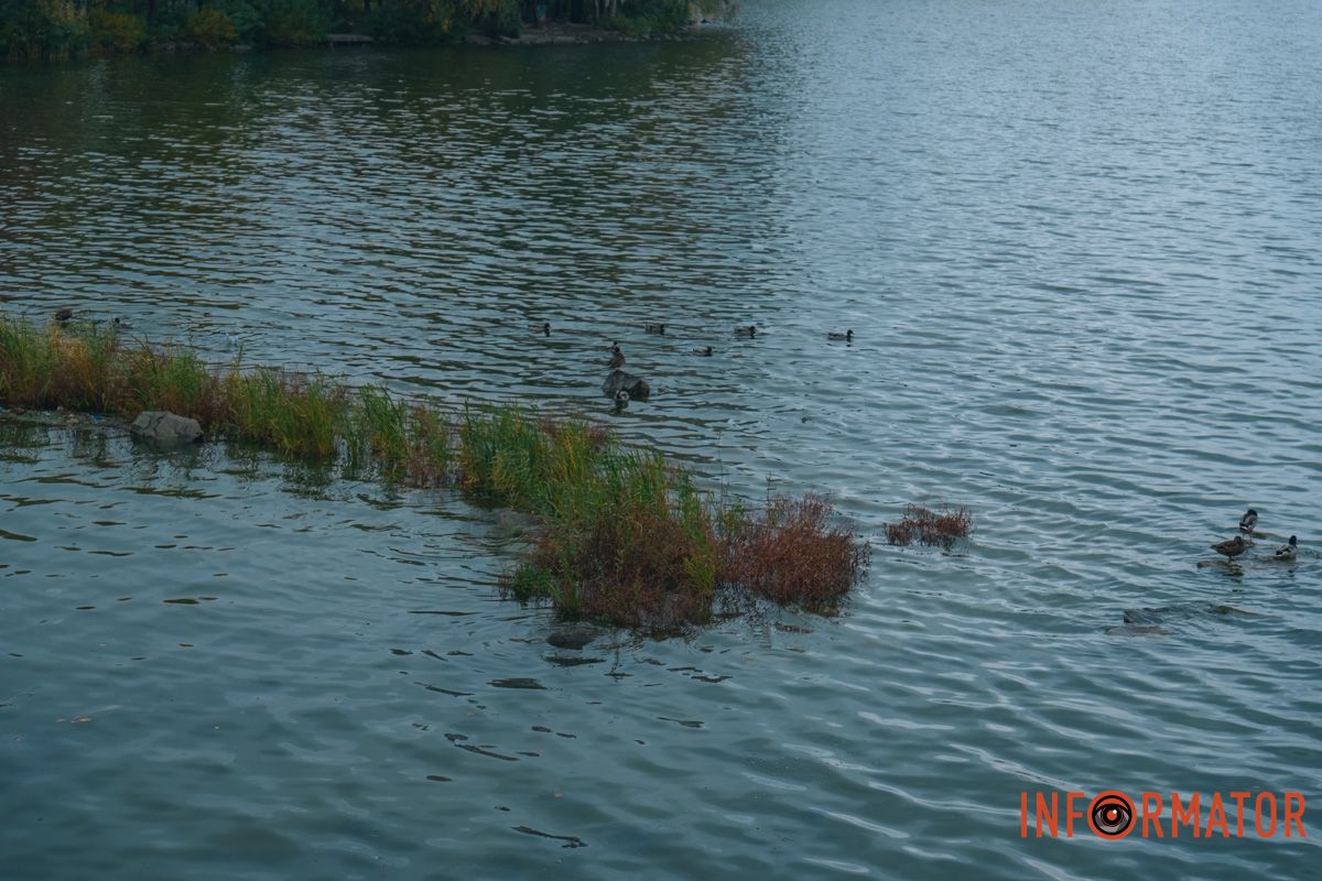 Течія річки несе осінь за обрій Течія річки несе осінь за обрій