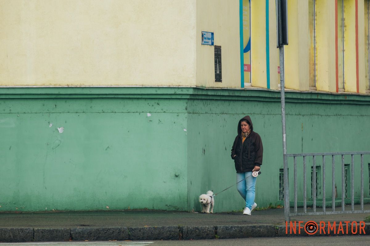 Песику дощовик не потрібен, він в захваті від погоди Песику дощовик не потрібен, він в захваті від погоди