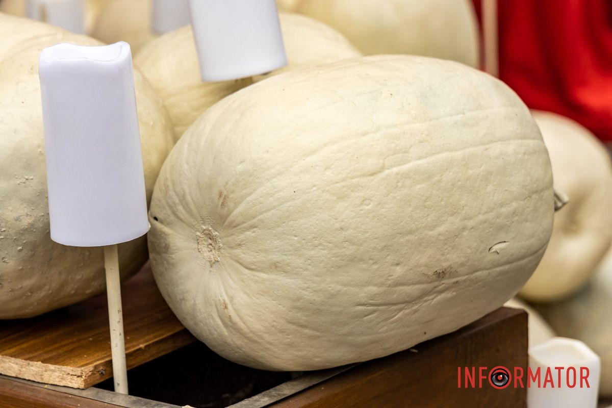 Містична фотозона привертає увагу містян Містична фотозона привертає увагу містян