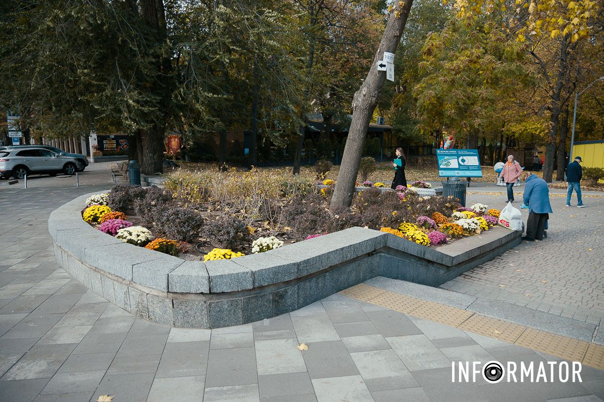 Дніпро в кольорах осені: де побачити найяскравіші хризантеми та загадкові фотозони 1