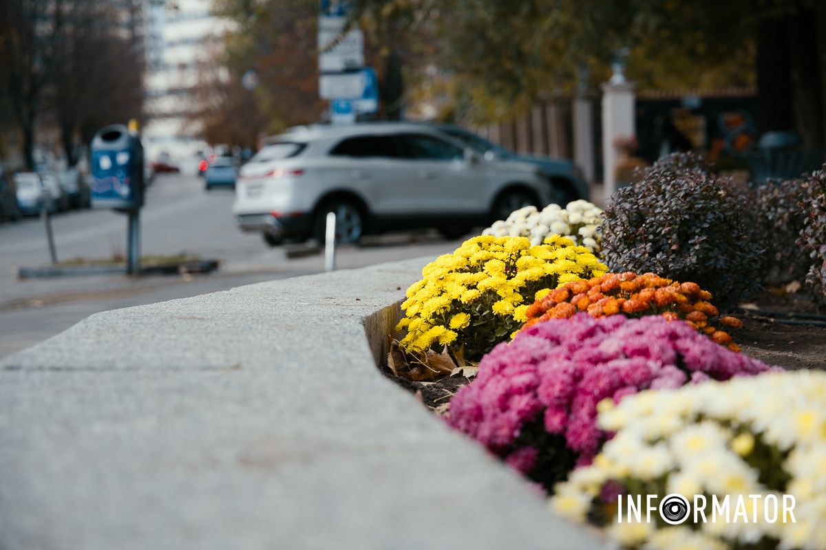 Дніпро в кольорах осені: де побачити найяскравіші хризантеми та загадкові фотозони 6