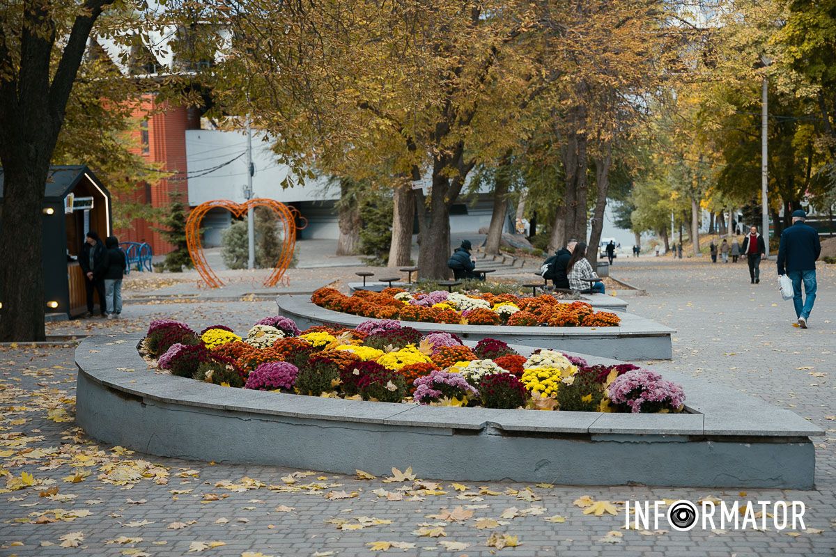 Дніпро в кольорах осені: де побачити найяскравіші хризантеми та загадкові фотозони 7