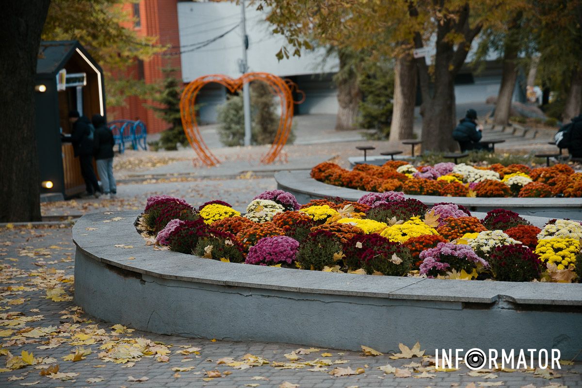Дніпро в кольорах осені: де побачити найяскравіші хризантеми та загадкові фотозони 8