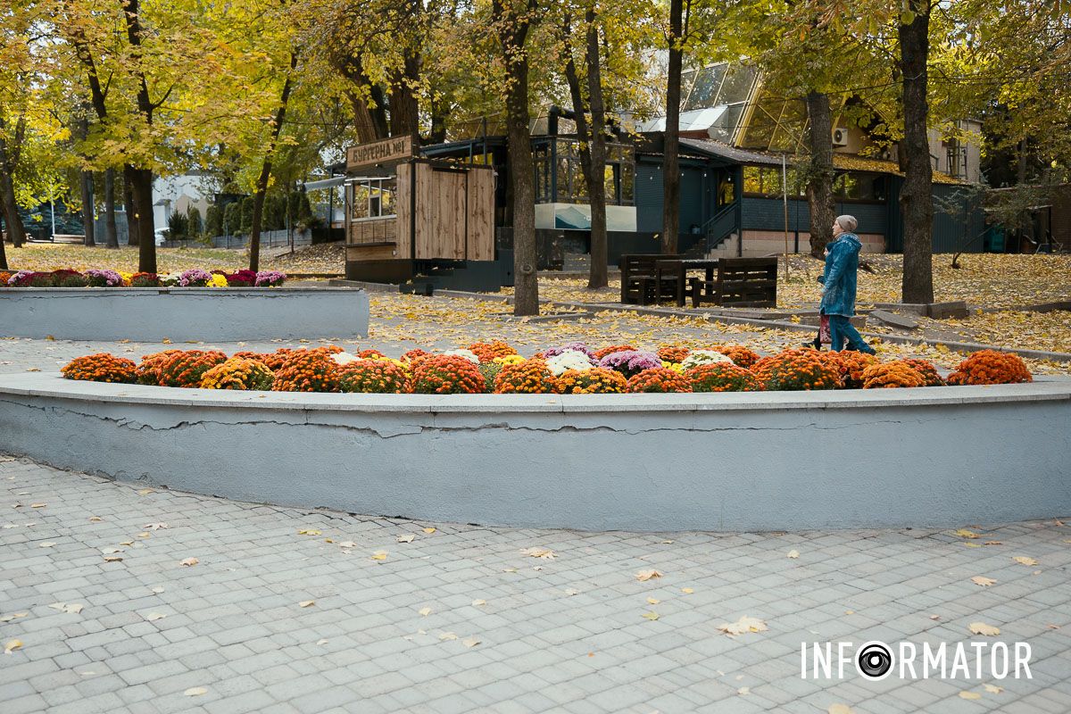 Дніпро в кольорах осені: де побачити найяскравіші хризантеми та загадкові фотозони 18