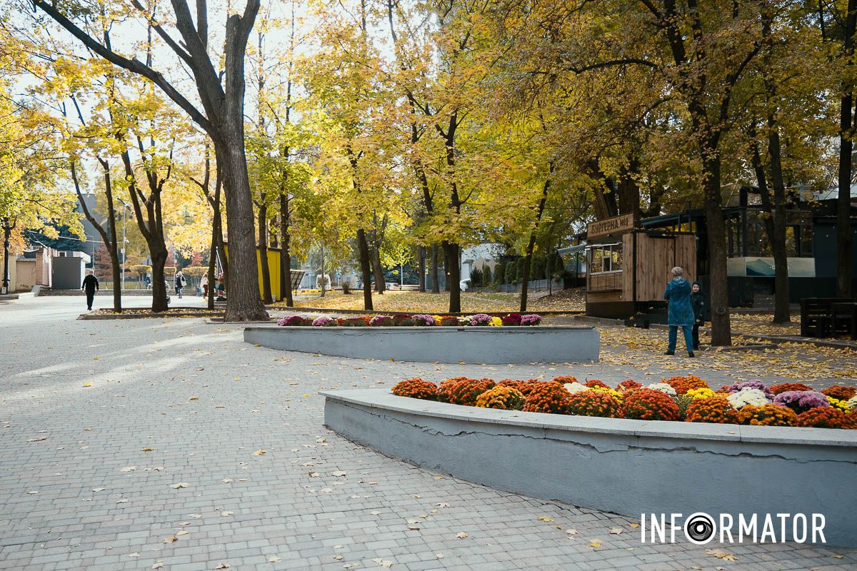 Дніпро в кольорах осені: де побачити найяскравіші хризантеми та загадкові фотозони 19