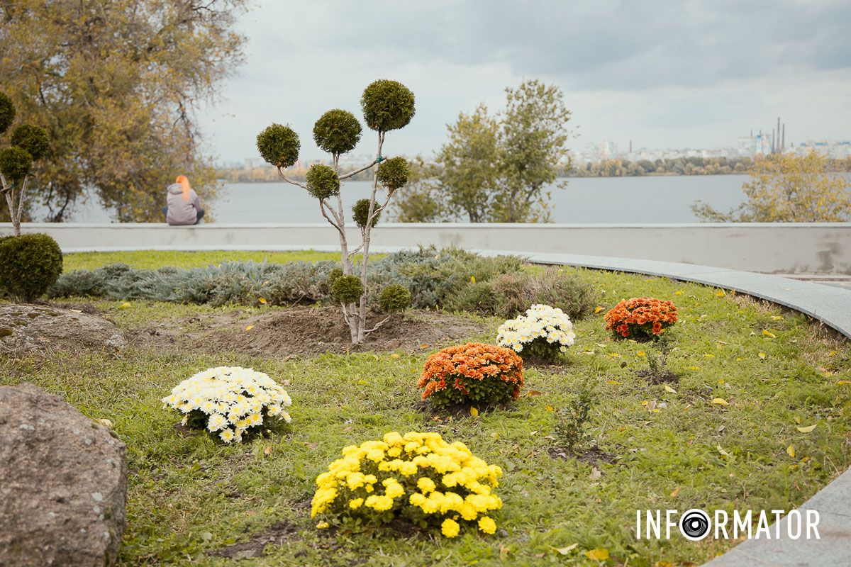 Дніпро в кольорах осені: де побачити найяскравіші хризантеми та загадкові фотозони 20