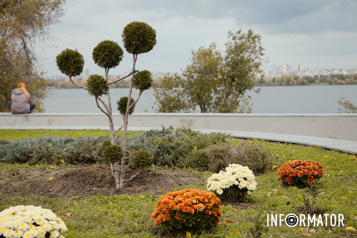 Дніпро в кольорах осені: де побачити найяскравіші хризантеми та загадкові фотозони 22