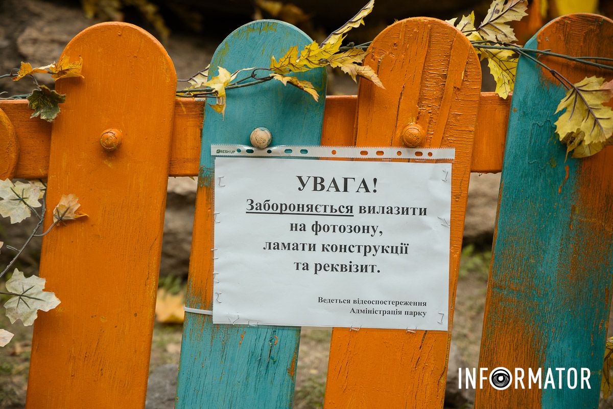 Дніпро в кольорах осені: де побачити найяскравіші хризантеми та загадкові фотозони 29