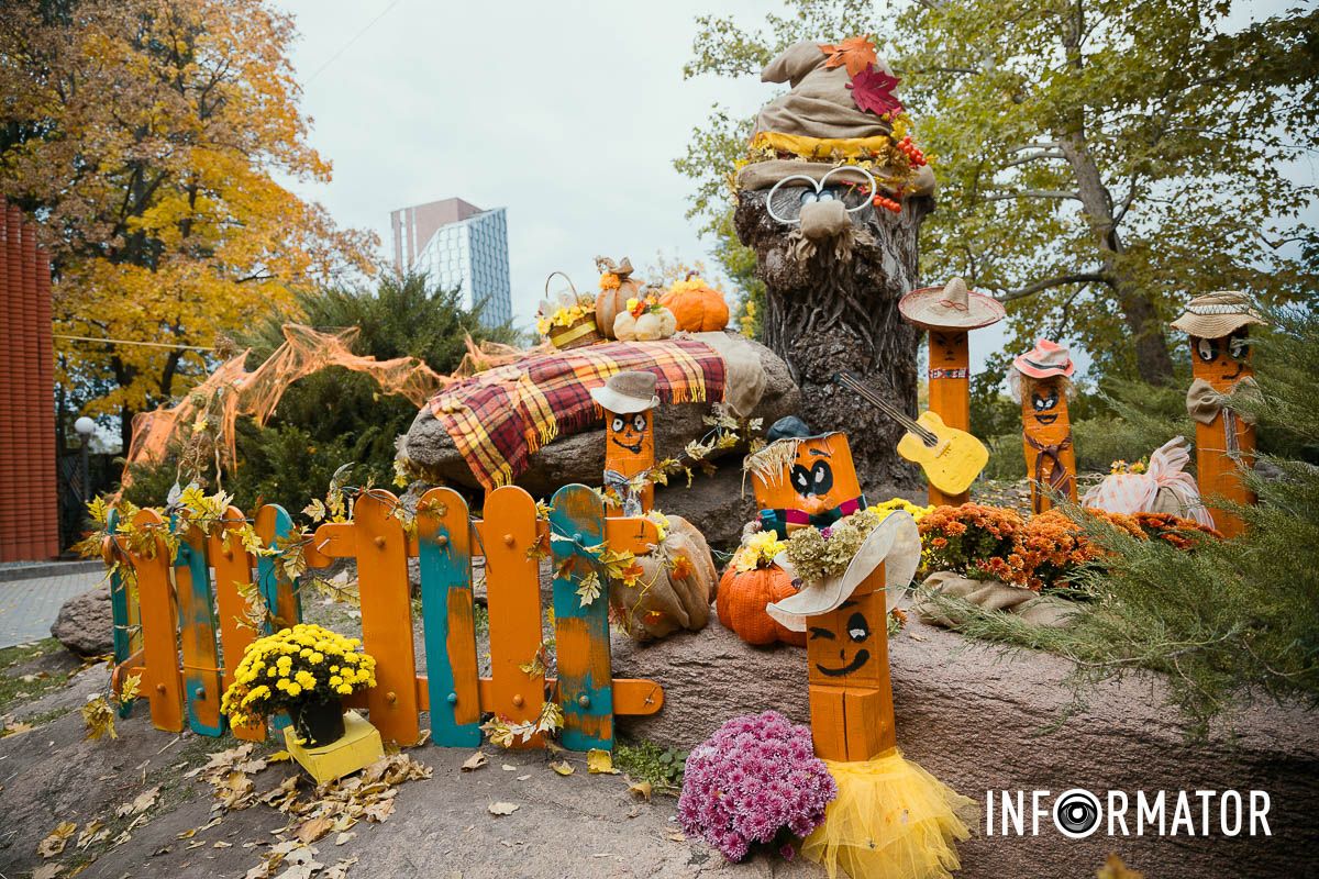 Дніпро в кольорах осені: де побачити найяскравіші хризантеми та загадкові фотозони 38