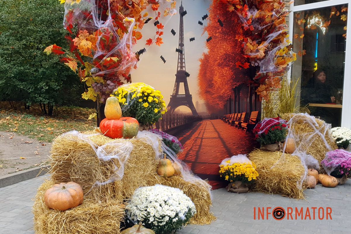 Дніпро в кольорах осені: де побачити найяскравіші хризантеми та загадкові фотозони 39