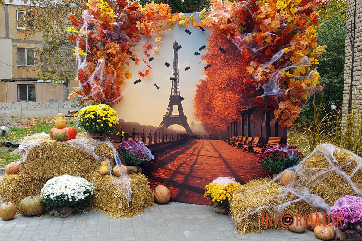 Дніпро в кольорах осені: де побачити найяскравіші хризантеми та загадкові фотозони 42
