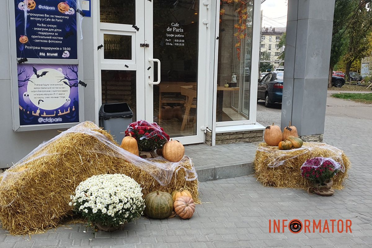 Дніпро в кольорах осені: де побачити найяскравіші хризантеми та загадкові фотозони 41