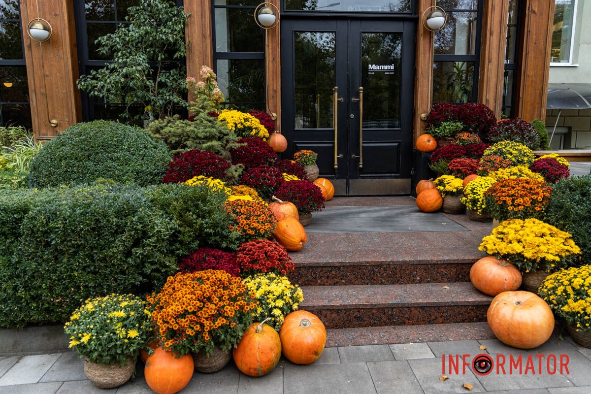 Дніпро в кольорах осені: де побачити найяскравіші хризантеми та загадкові фотозони 44