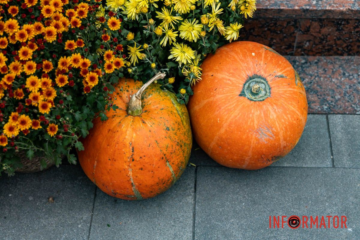 Дніпро в кольорах осені: де побачити найяскравіші хризантеми та загадкові фотозони 45
