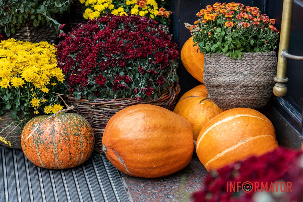 Дніпро в кольорах осені: де побачити найяскравіші хризантеми та загадкові фотозони 51