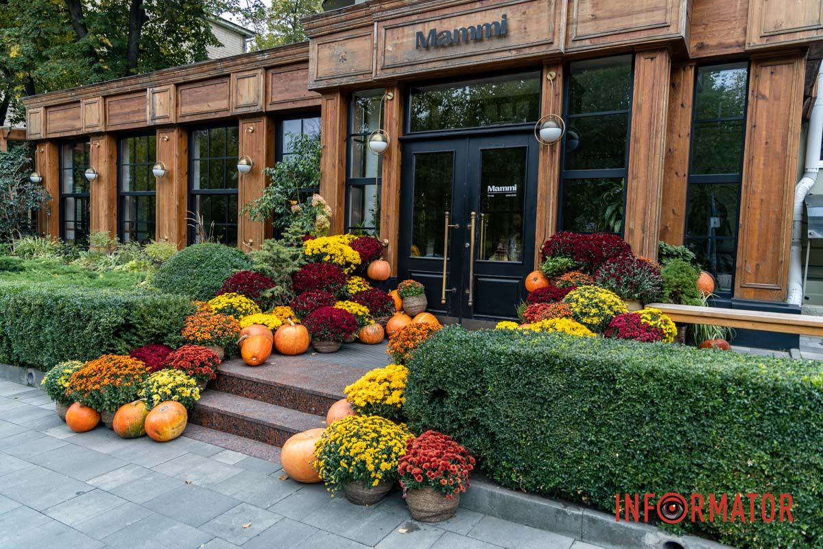 Дніпро в кольорах осені: де побачити найяскравіші хризантеми та загадкові фотозони 53