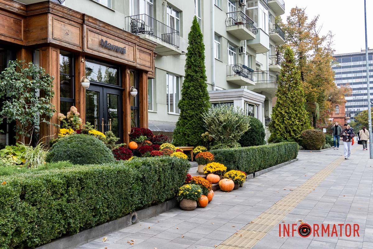 Дніпро в кольорах осені: де побачити найяскравіші хризантеми та загадкові фотозони 58