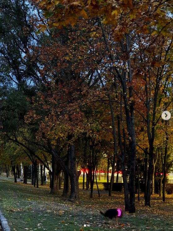 kolyannazik.ph kolyannazik.ph