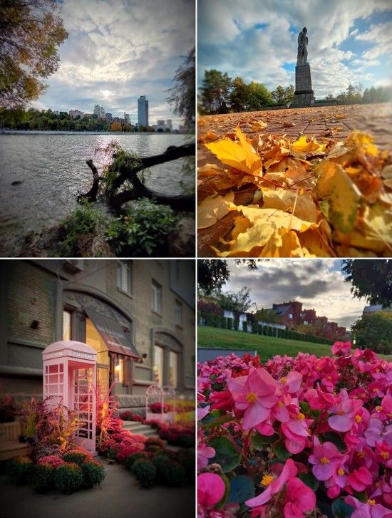 angelina_snail angelina_snail