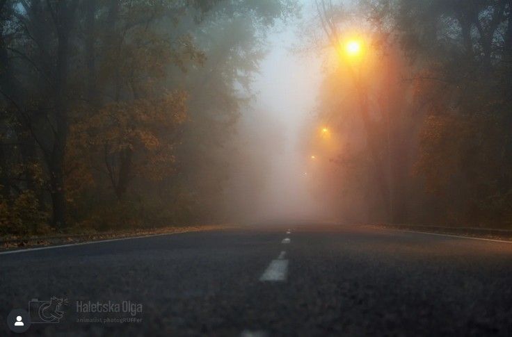 galetskaya_olga galetskaya_olga