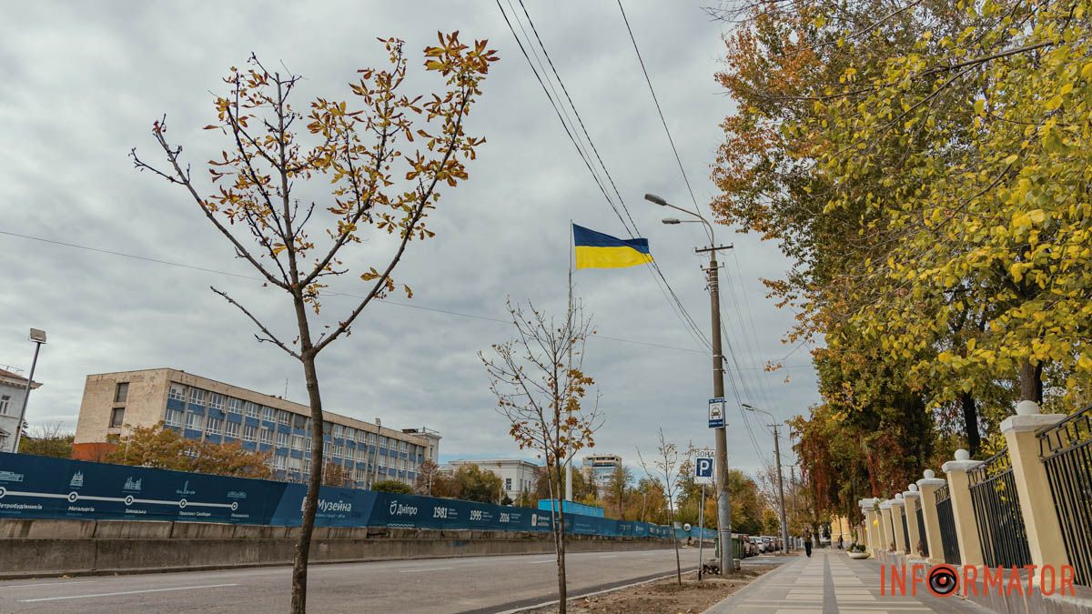 Висадили липи: у Дніпрі на проспекті Яворницького з'явилась нова зелена зона