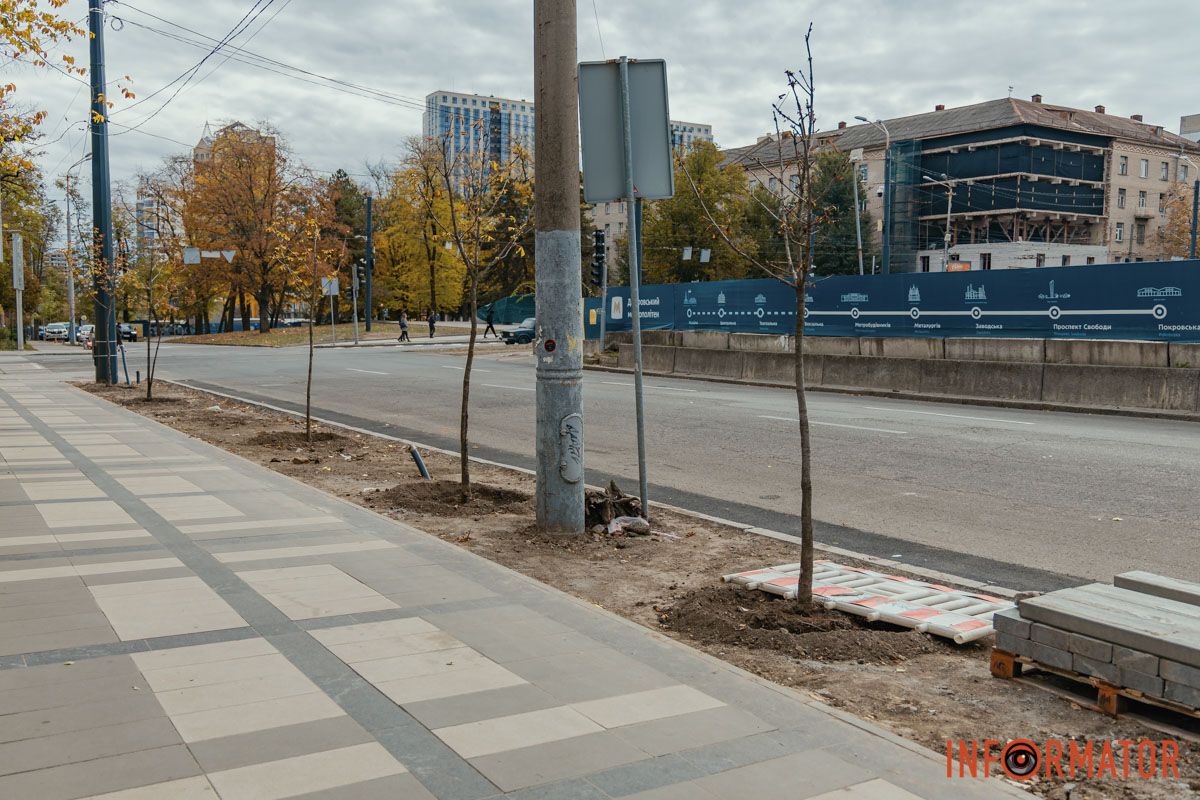 Нова зелена зона з’явилась біля ліцею №23 Нова зелена зона з’явилась біля ліцею №23