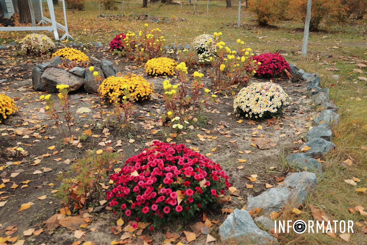 Во цвета осени Во цвета осени