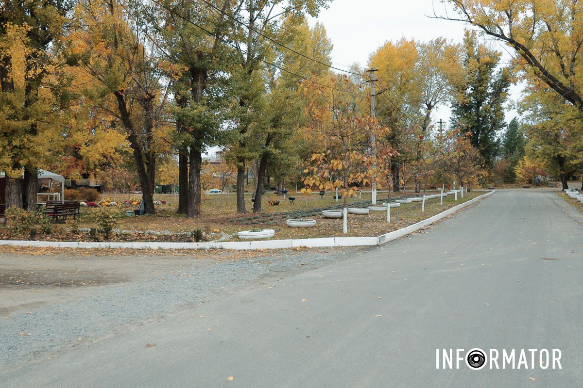 Краски осени Краски осени