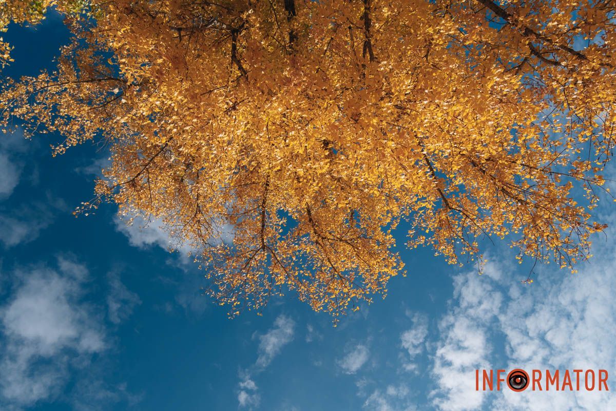 Если бы здесь появился художник, он бы обязательно разложил мольберт и что-нибудь нарисовал бы