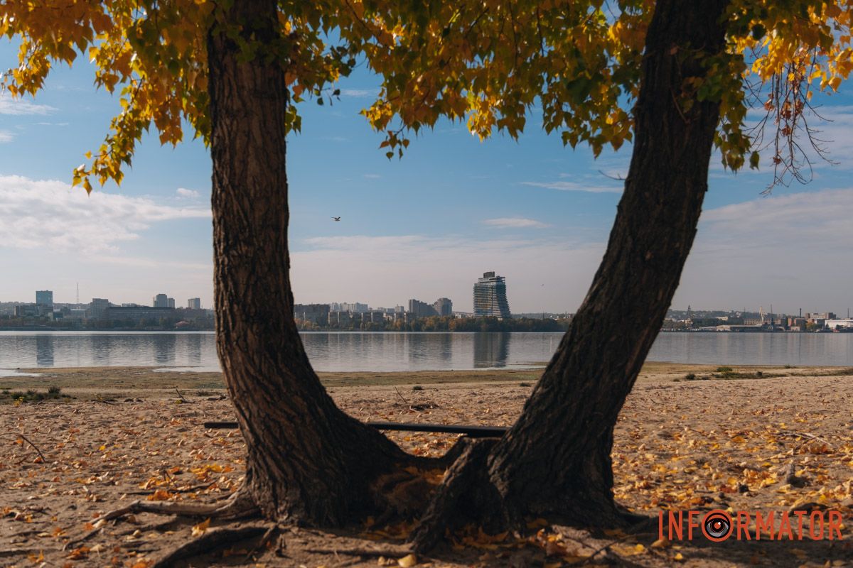 Деревья стоят, как часовые осени