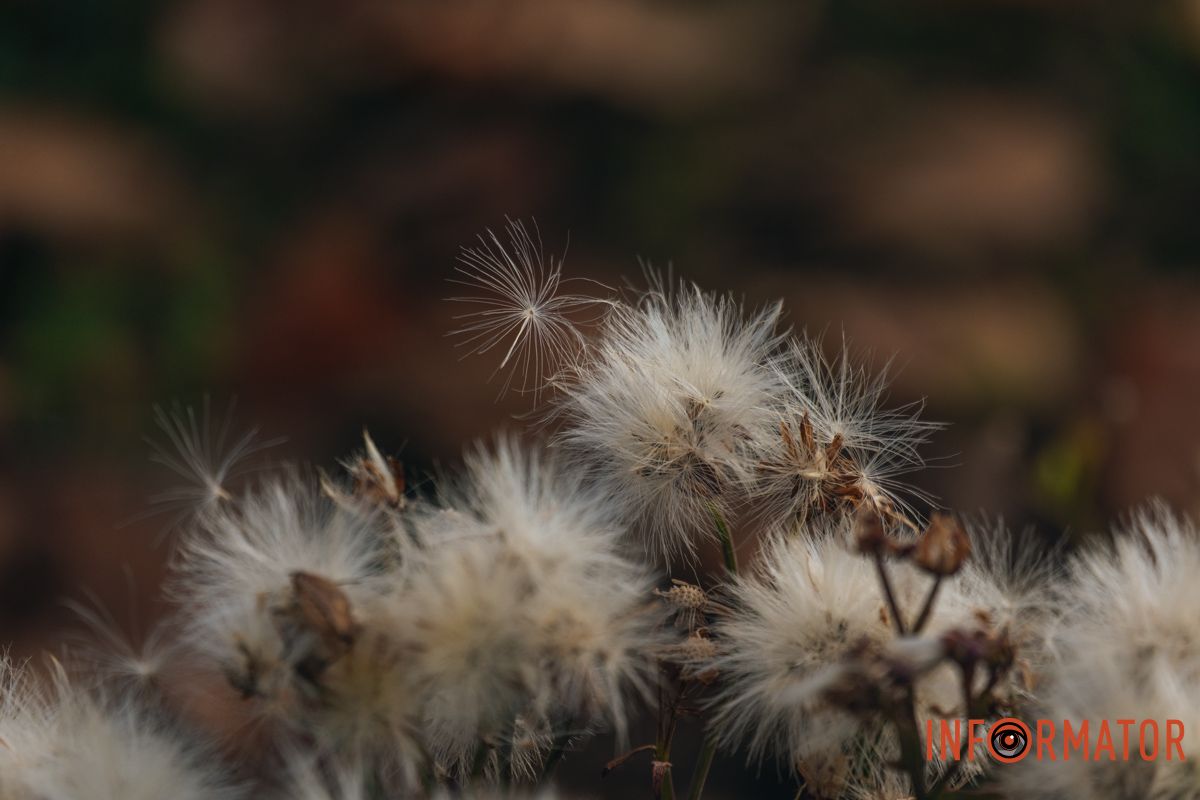 Подробности