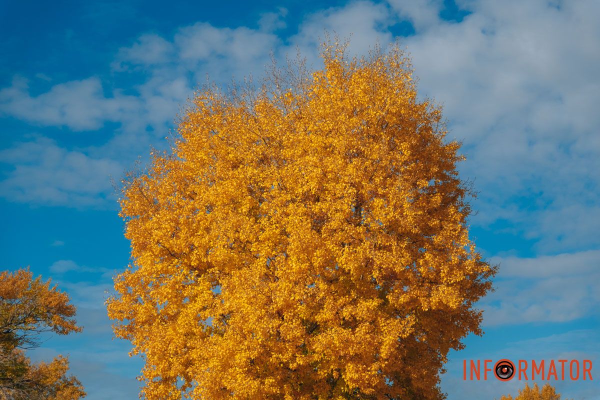 Мануйловский пляж – место, где тишина имеет форму и цвет