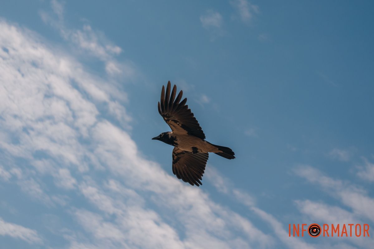 Осенний полет покоя