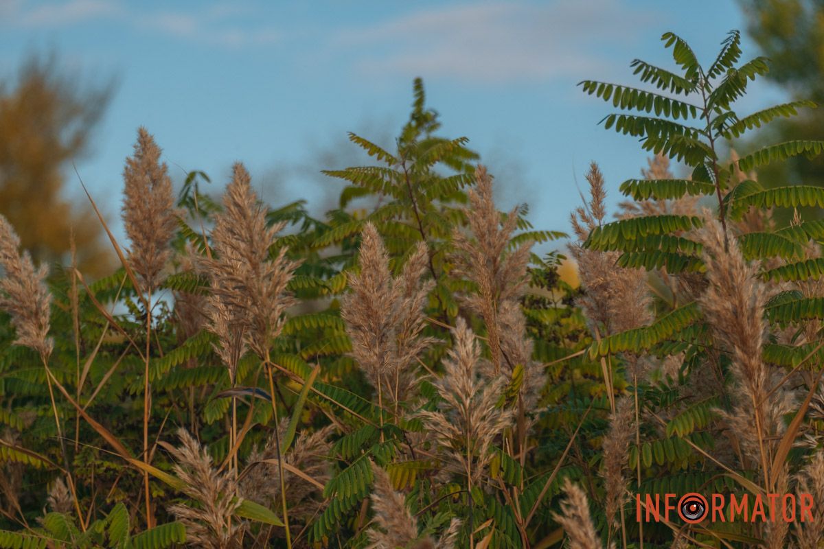 Природа прекрасна осенью