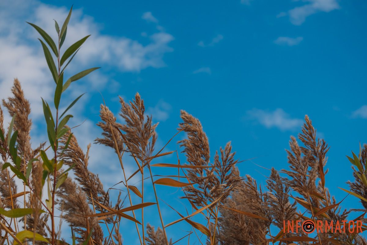 Мануйловский пляж в октябре — как картина живого художника